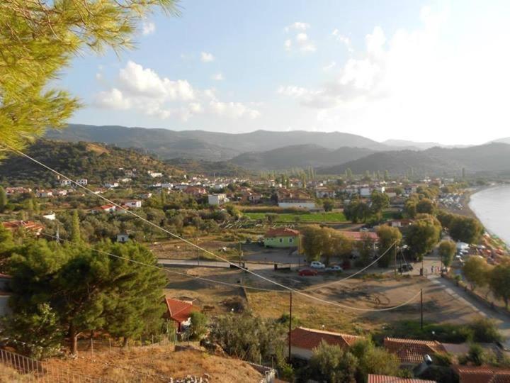 Anaxos Hotel Dış mekan fotoğraf