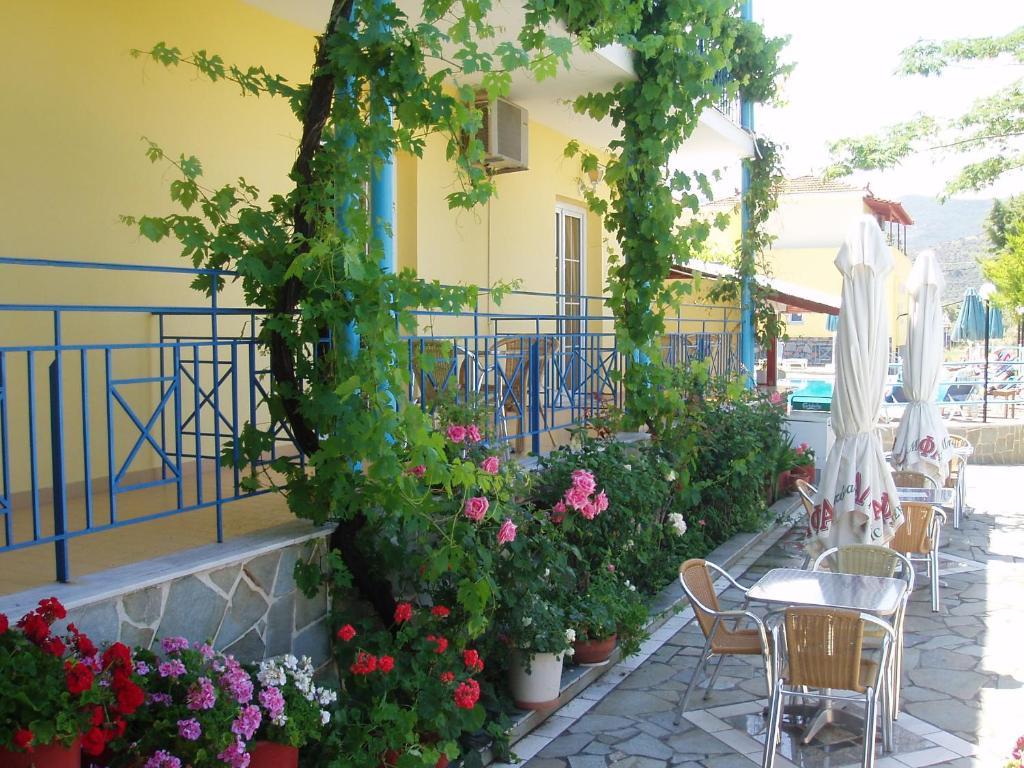 Anaxos Hotel Oda fotoğraf