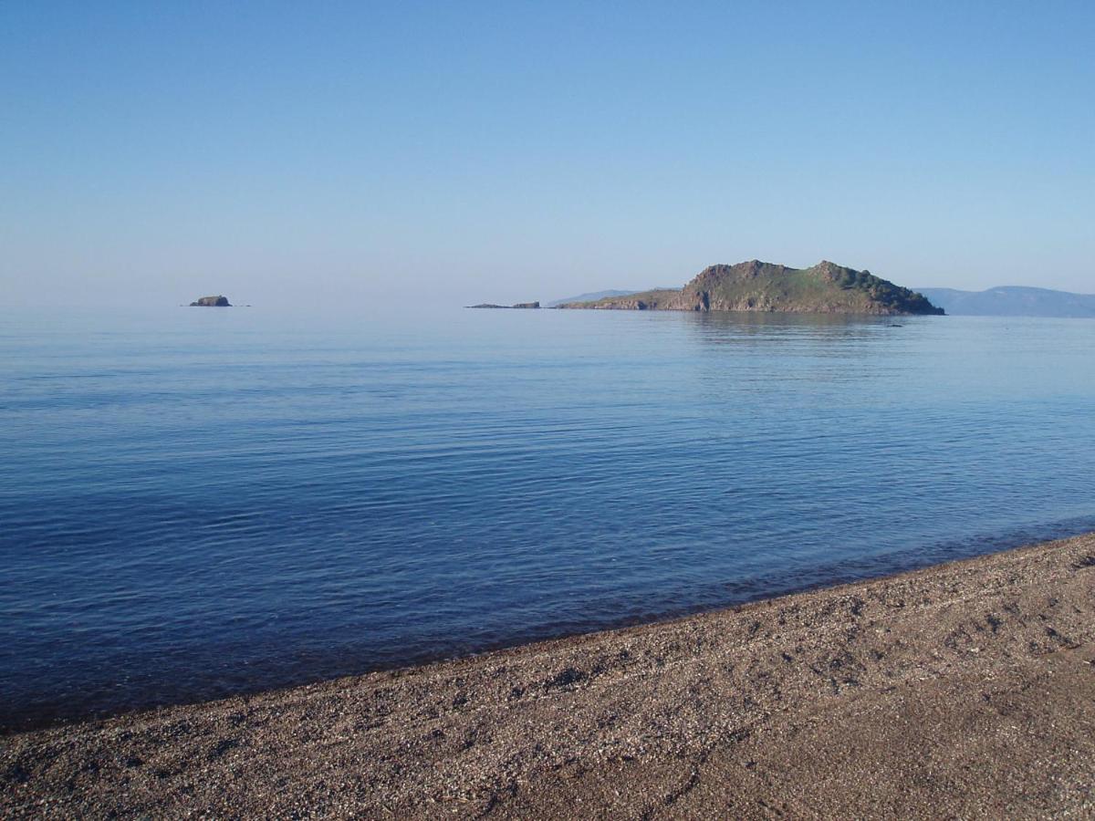 Anaxos Hotel Dış mekan fotoğraf